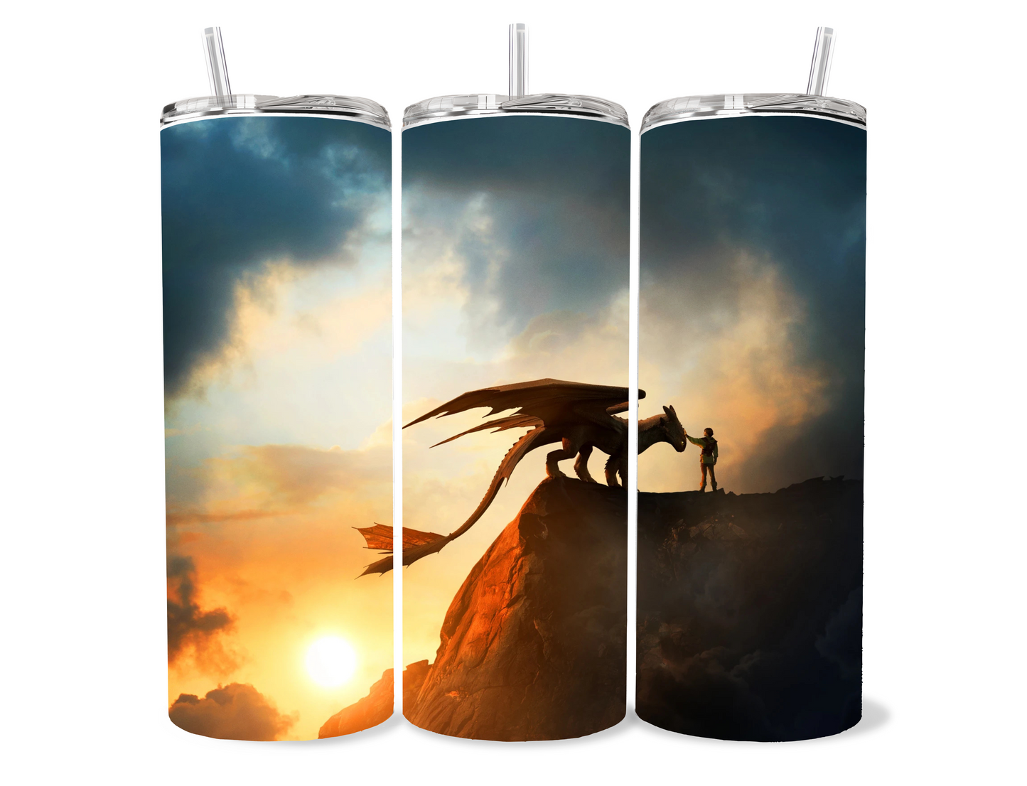 HTTYD/ Dragon tumbler