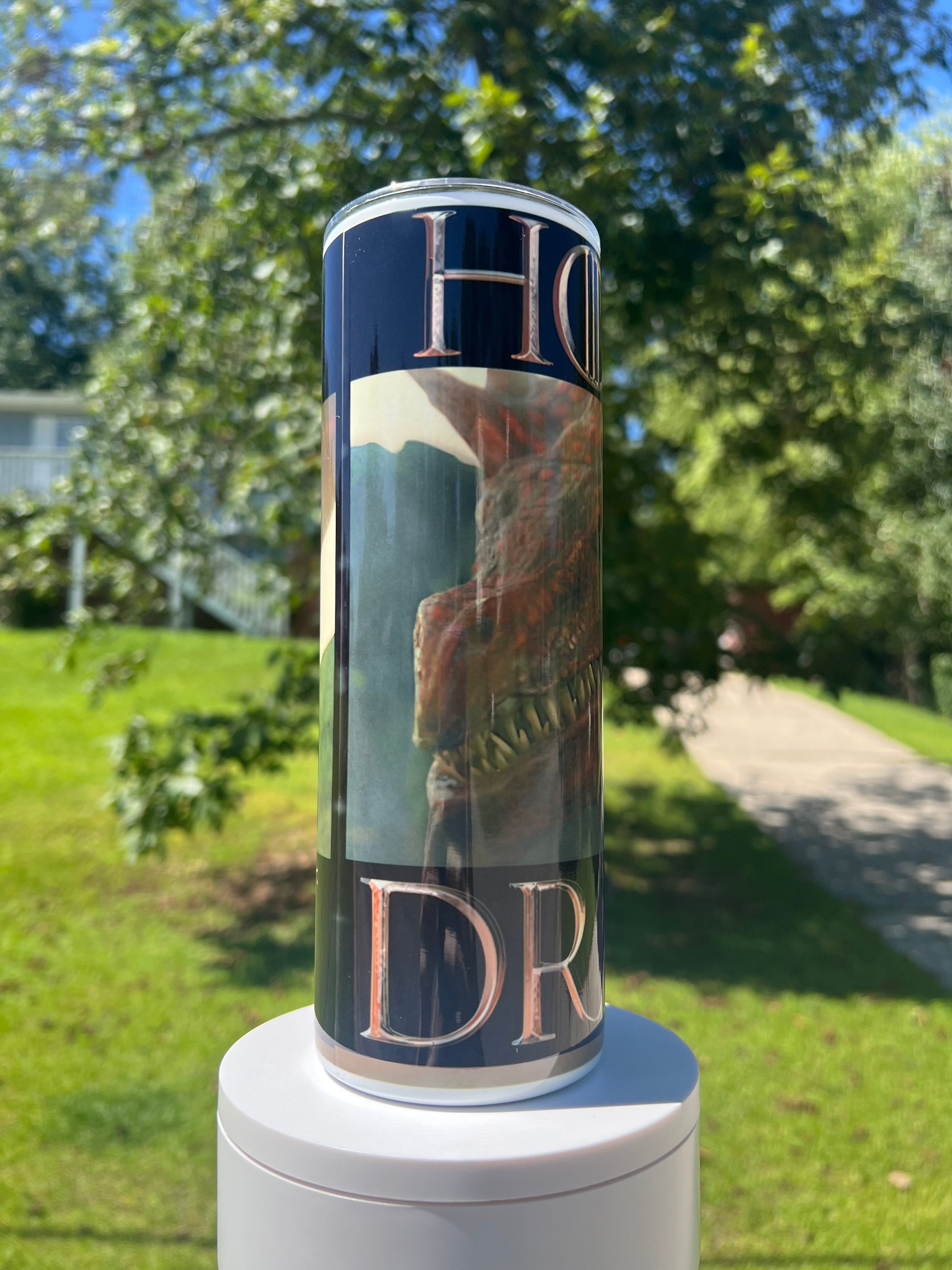 Caraxes & Daemon Targaryen Tumbler 20oz | Blood Wyrm Dragon Cup | House of the Dragon Insulated Drinkware featuring the design artwork