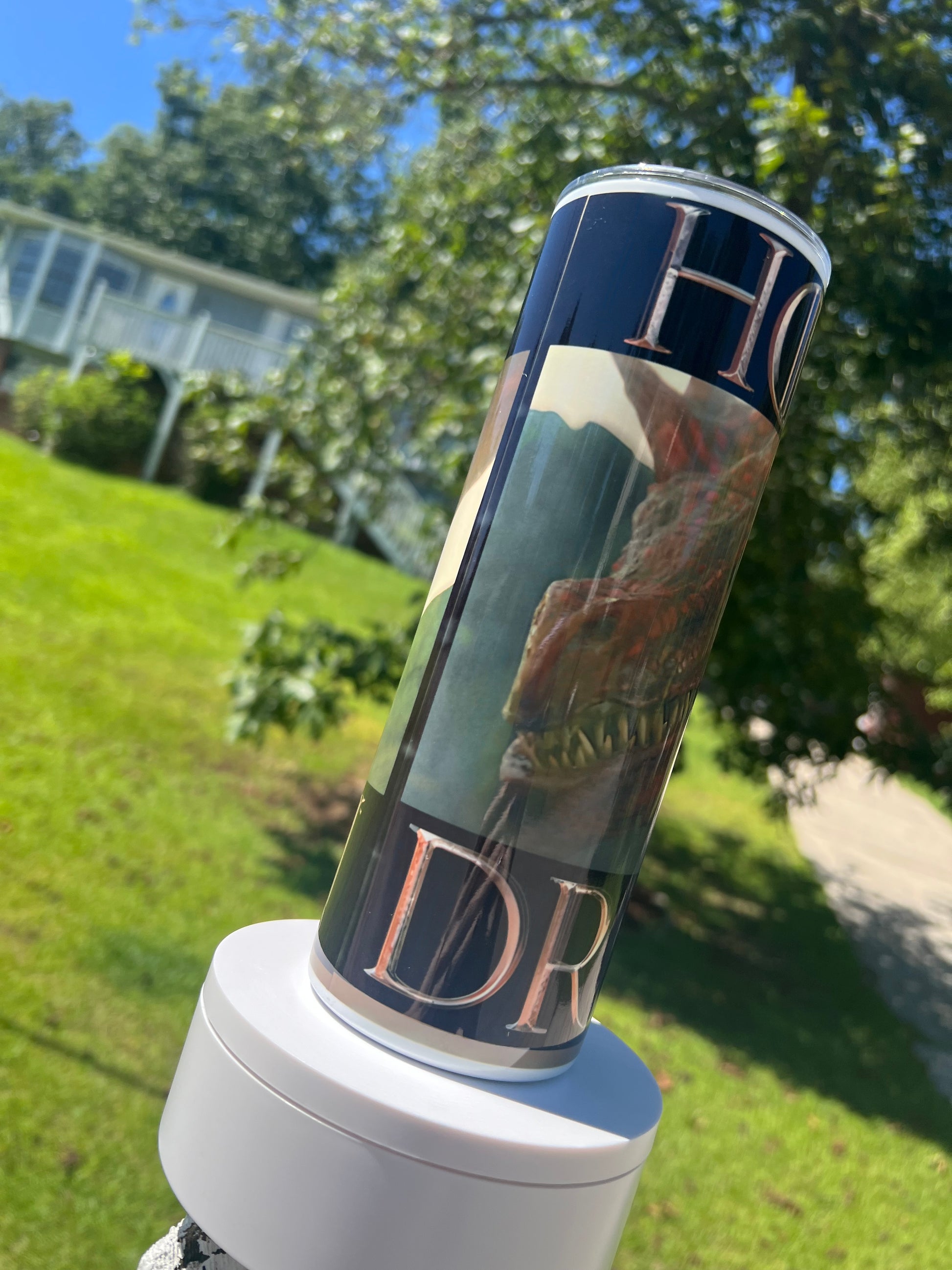 Caraxes & Daemon Targaryen Tumbler 20oz | Blood Wyrm Dragon Cup | House of the Dragon Insulated Drinkware featuring the design artwork