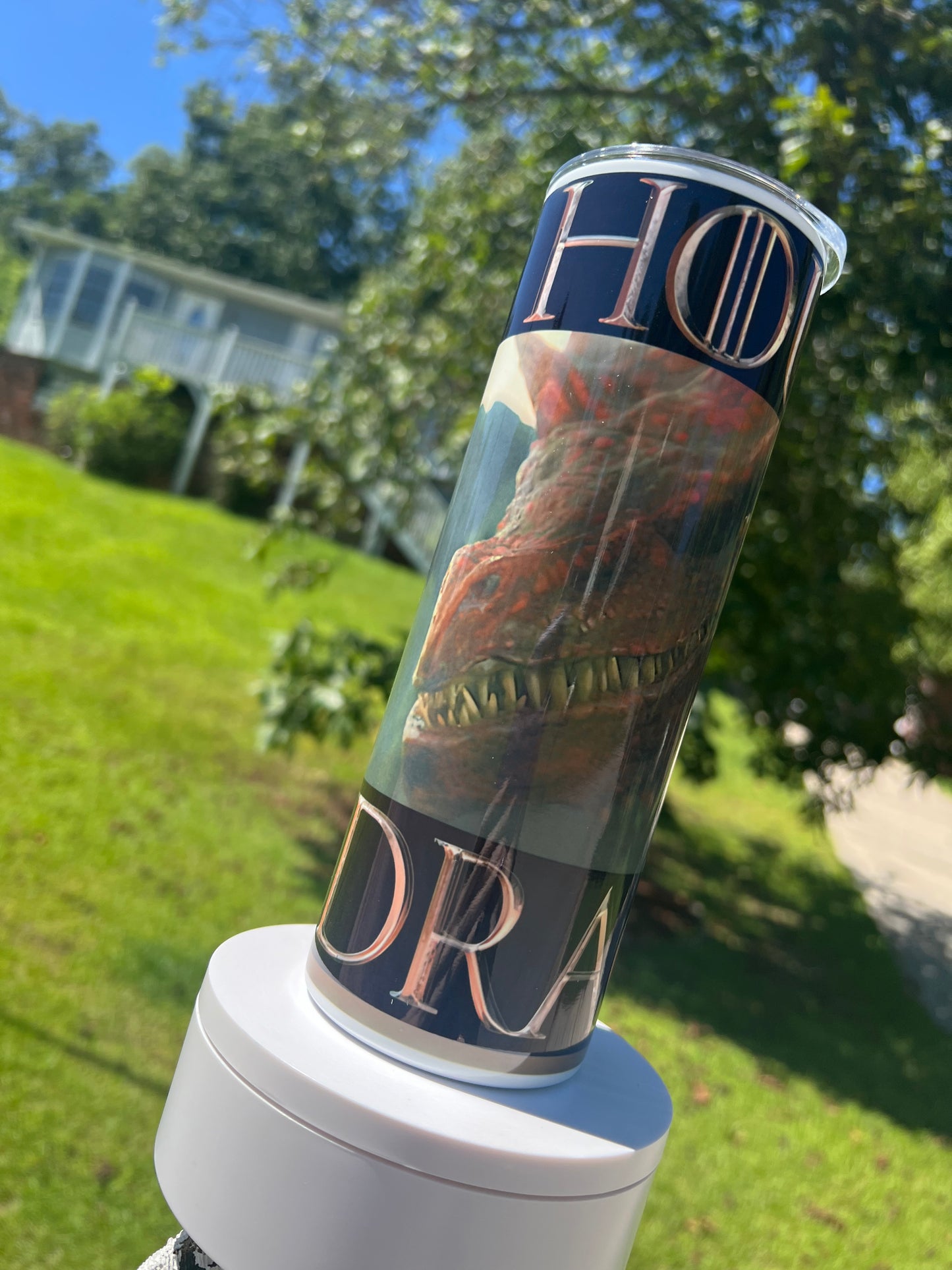 Caraxes & Daemon Targaryen Tumbler 20oz | Blood Wyrm Dragon Cup | House of the Dragon Insulated Drinkware featuring the design artwork