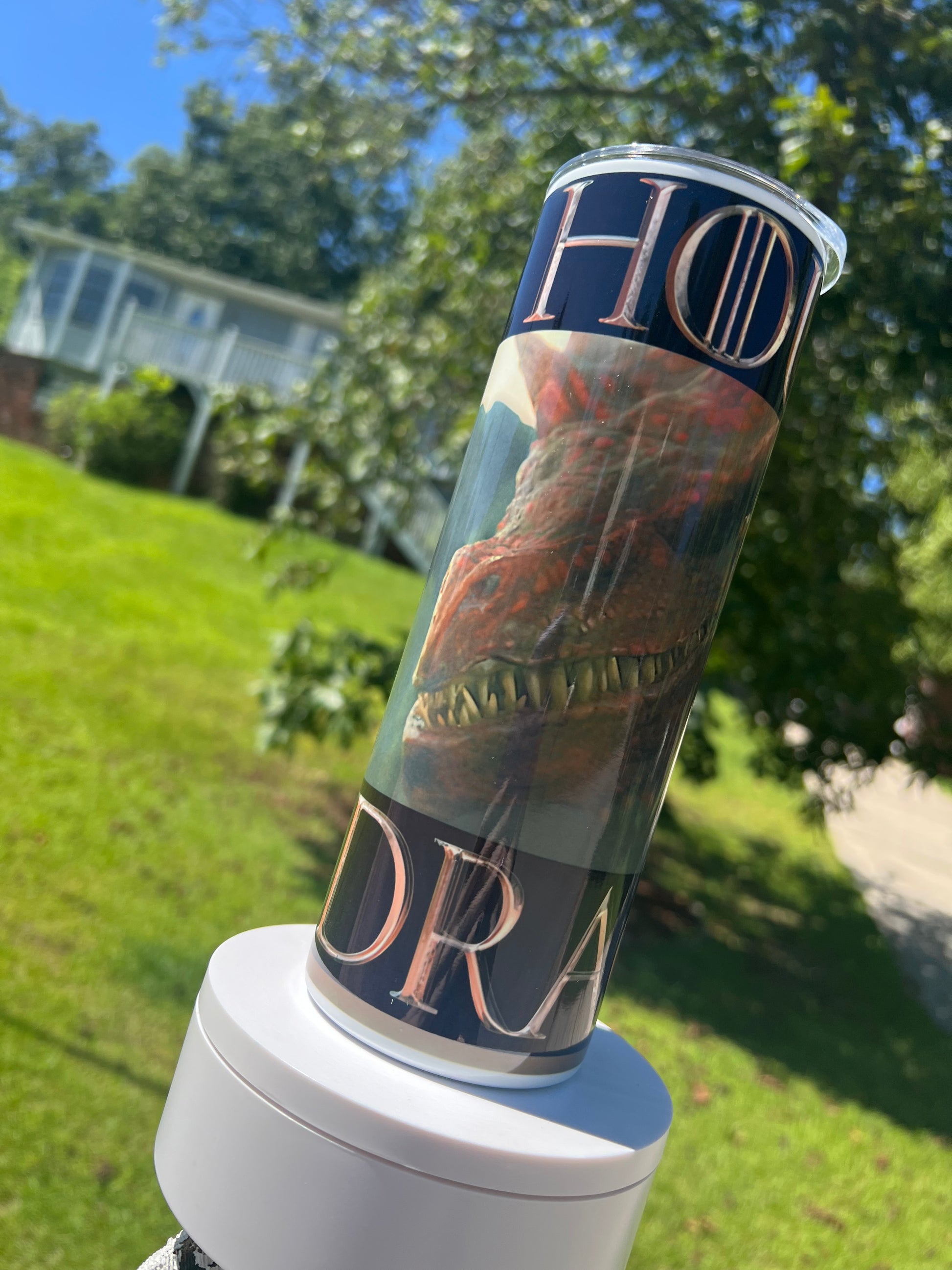 Caraxes & Daemon Targaryen Tumbler 20oz | Blood Wyrm Dragon Cup | House of the Dragon Insulated Drinkware featuring the design artwork