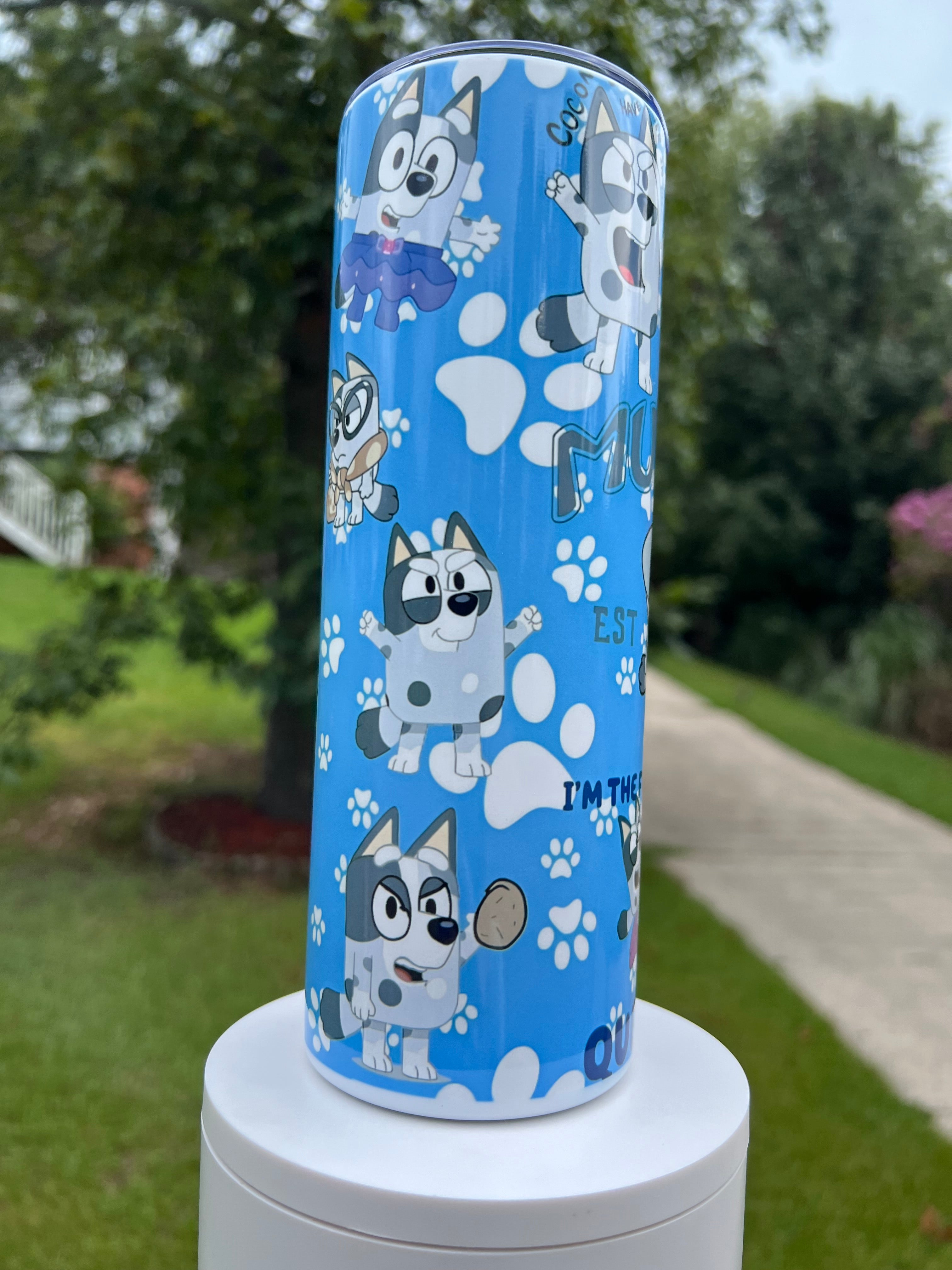 Cute chaotic character tumbler 20oz stainless steel aesthetic cup